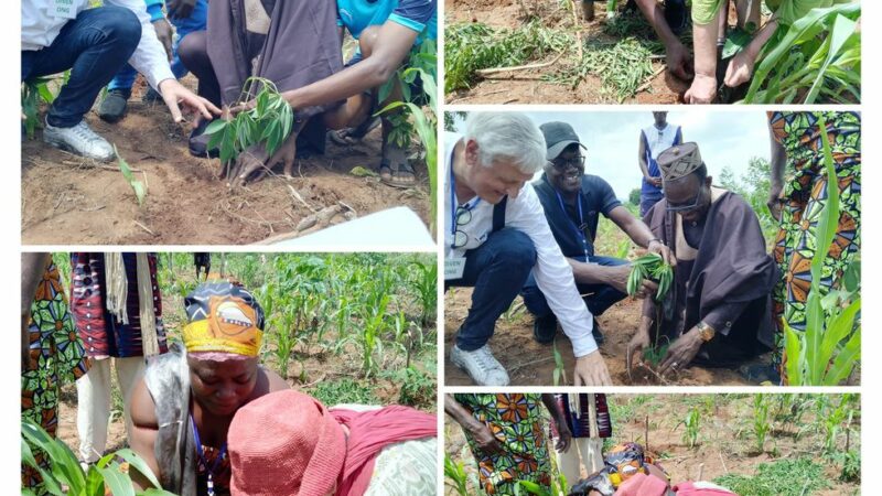 Célébration de la journée de l’arbre au Bénin : Les ONG LAC AHÉMÉ VIVRA et DIVEN au rendez-vous de l’écocitoyenneté